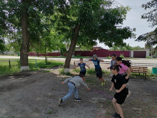 img 1606 1