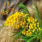 foto 2024 03 01 13 19 003