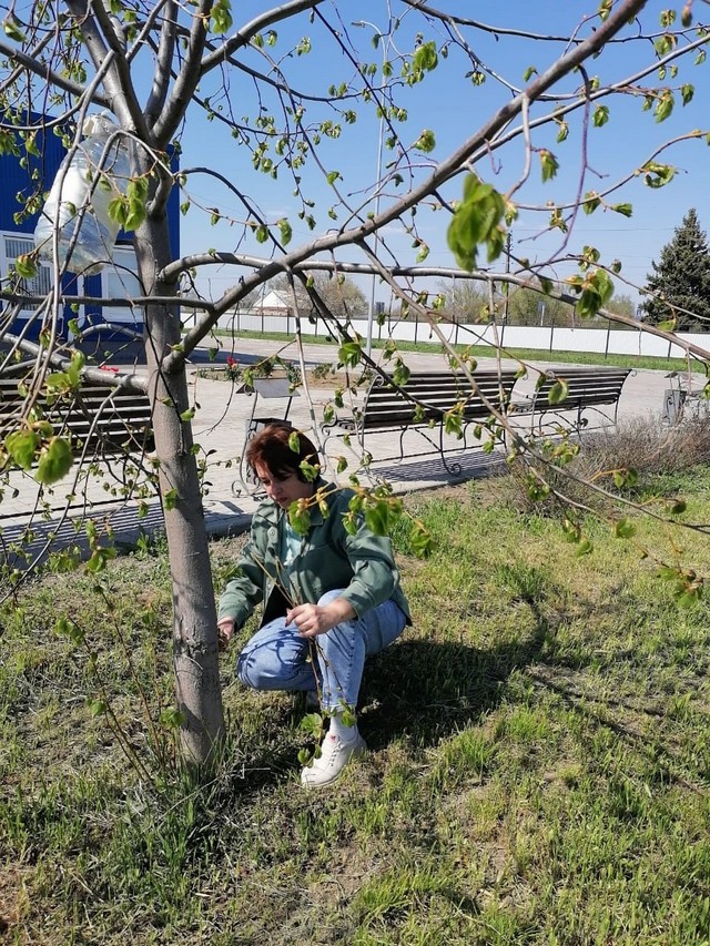 foto 2025 04 18 11 08 002