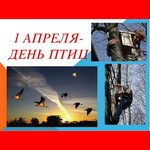 ptichiy kaleidoskop 0204 01