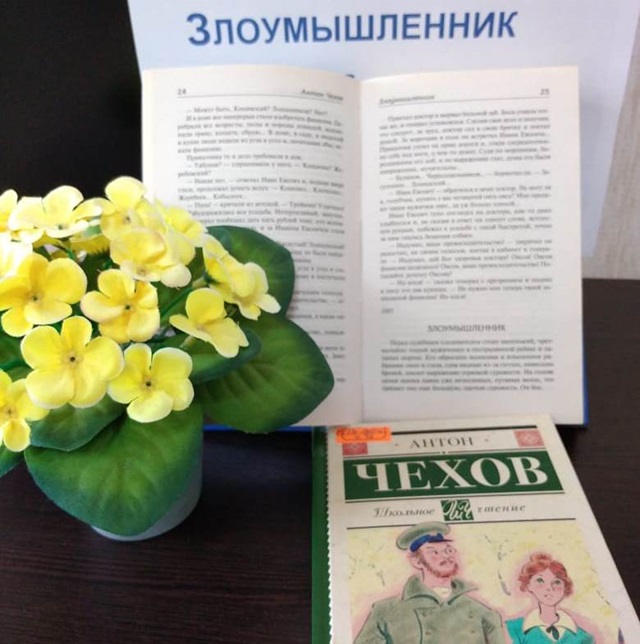 IMG 20250808 WA0001 1